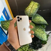 iphone 11 pro max 256 gig