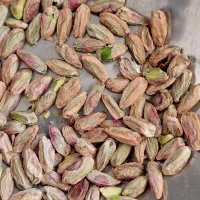 مغز پسته