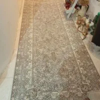 فرش ها ۳عدد ۶متری شکیل آکبند|فرش|کرج, خرمدشت|دیوار