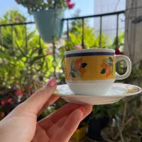 چای خوری|ظروف سرو و پذیرایی|تنکابن, |دیوار