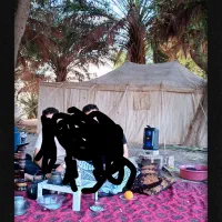 خیمه|کوهنوردی و کمپینگ|رامشیر, |دیوار