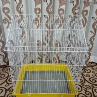 قفس طوطی کوتوله مرغ عشق