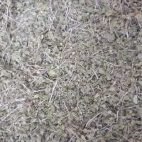 اویشن پهن کوهی