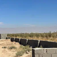 باغچه سهیلیه کردان ۳۵۰متری کانکس اب کشاورزی|فروش خانه و ویلا|کرج, مهرویلا جنوبی|دیوار