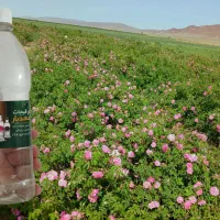 گلاب دو آتیشه