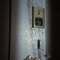 طرح کاغذ دیواری و نقاشی ساختمان|خدمات پیشه و مهارت|تویسرکان, |دیوار