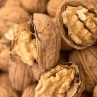 گردوی خارجی درجه یک|خوردنی و آشامیدنی|مشهد, ایثار|دیوار