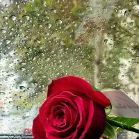 راهنمایی میخام