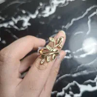 بدلیجات|جواهرات|شیراز, دانشگاه شیراز|دیوار