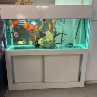 اکواریوم بزرگ و کمک ام دی اف کشوی با فیلتر سطلی