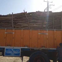 خرید و فروش چوب