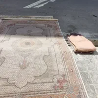 فرش ۶و۹|فرش|بیرجند, |دیوار