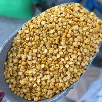 ارگانیک . هرچی بخوای از غاز تاپیاز|خوردنی و آشامیدنی|رشت, احمد گوراب|دیوار