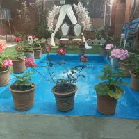 نیروی خانم کافه رستوران