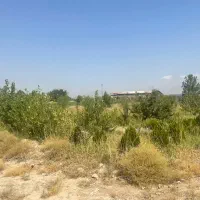 باغ-و-باغچه
