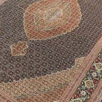 یک جفت ۶ متری رج ۵۰