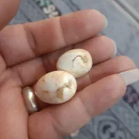 چند مدل عطف|بدلیجات|اهواز, کوی رمضان|دیوار