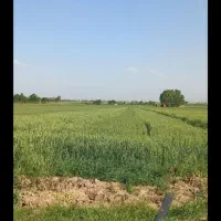 فروش زمین ۷۰۰۰ متری