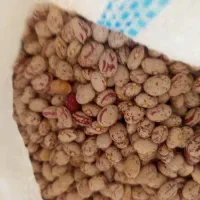 لوبیا چیتی و تخمه کدو سیب زمینی هم موجود می باشد.|خوردنی و آشامیدنی|سده (فارس), |دیوار