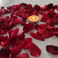 انجام کلیه ماساژ های تخصصی درمانی وضد درد