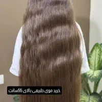 خرید و خریدار موی طبیعی و فروش میلیونی در محل
