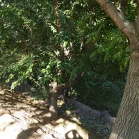 باغ 1000 متری