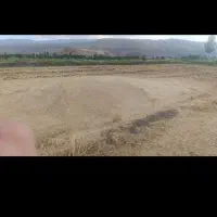 کاه|لوازم جانبی حیوانات|ماکو, |دیوار