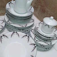 چینی|ظروف سرو و پذیرایی|ابهر, |دیوار