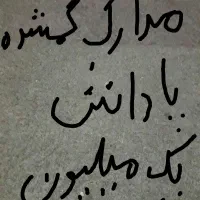 مدارکم گمشده (پاداش)