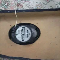 تخته باند و باند