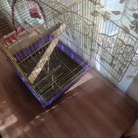 قفس|لوازم جانبی حیوانات|خمینی‌شهر, |دیوار