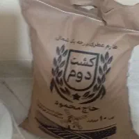 برنج ایرانی طارم کشت دوم عطری