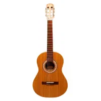 گیتار پارسی m5