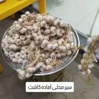 سیر محلی