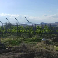 زمین باغ ویلایی