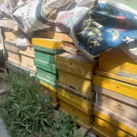 فروش ۱۵ عدد کندو زنبور دست دوم