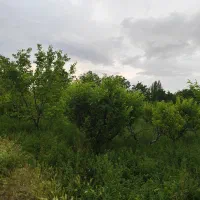 باغچه|فروش دفتر صنعتی، کشاورزی، تجاری|نوشین شهر, |دیوار