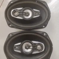 ضبط و باند سالم