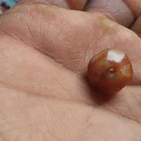 عقیق یمن،در نجف،حدید،جز،مهره کهنه|کلکسیون اشیاء عتیقه|قم, انصار‌الحسین|دیوار