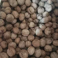 گردو|خوردنی و آشامیدنی|شهرکرد, |دیوار