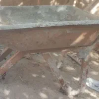 فرغون ورق زخیم