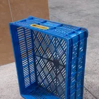 سبد