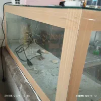 آکواریوم باتجهیزات