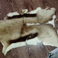 پوست گاو|فرش|تهران, سلسبیل جنوبی|دیوار