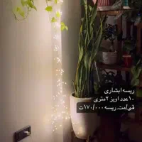 آگهی پاین