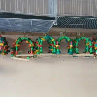 قفس و لوازم پرنده|لوازم جانبی حیوانات|مشهد, نوید|دیوار