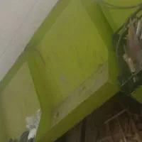 پالت میوه