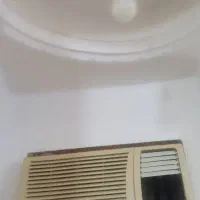کاملا سالم