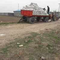 اجاره و یا شراکتی