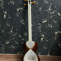 تار حرفه ای